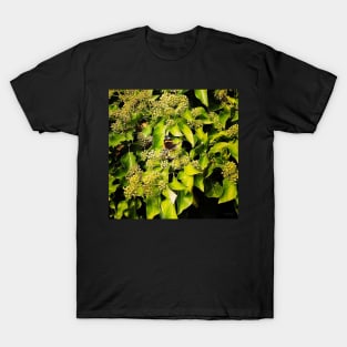 butterfly on green wall T-Shirt